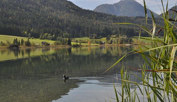 Отель Haus Schluder - Familie Stanitzer Вайсензее Экстерьер фото